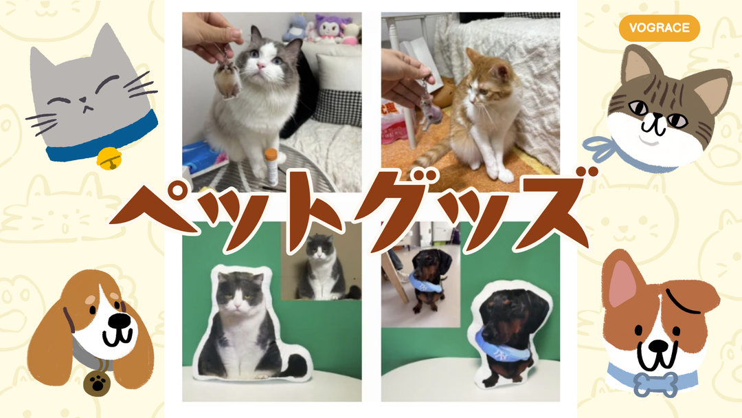 自分だけのペットグッズをつくろう 🐾